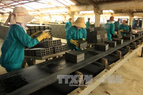 Quảng Ngãi chú trọng thu hút đầu tư ảnh 1